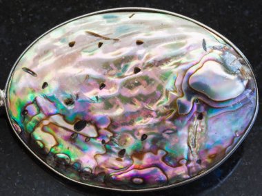 Kara günü Cabochon kabuk Abalone (haliotis)