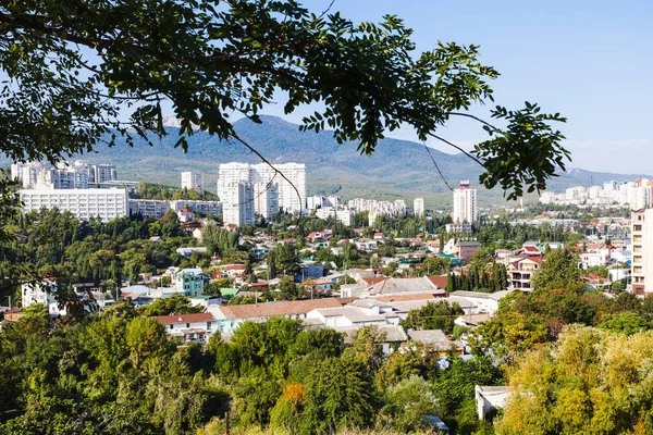 Зеленые деревья и вид на город Алушта — стоковое фото