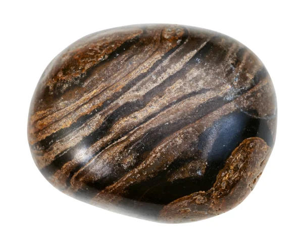 Pedra preciosa estromatolita polida do Peru isolada — Fotografia de Stock