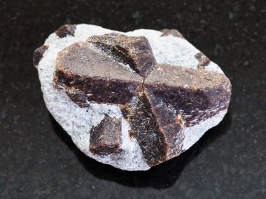 Staurolite ham kristal Mika şeyl kara günü içinde