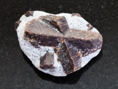 raw crystal of Staurolite in mica shale on dark clipart
