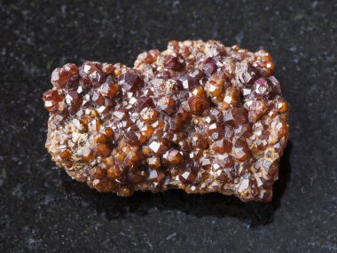 Kara günü taş üzerinde ham Andradite garnet kristalleri