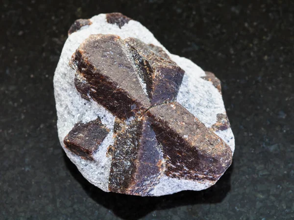 Hrubý krystal staurolitu v slídové břidlice na tmavé — Stock fotografie