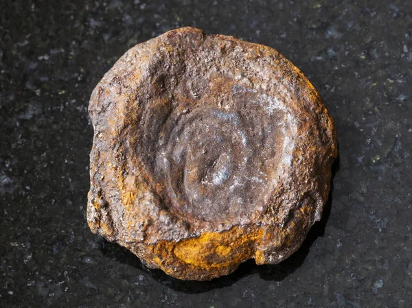 Tipo di moneta minerale di ferro grezzo del lago (limonite) sul buio — Foto Stock