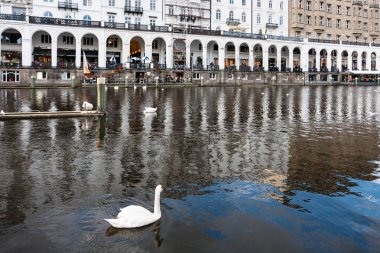 Kuğu ve waterfront Hamburg'da Binnenalster'de ofis binası