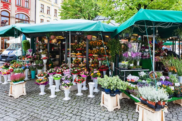 Flower stall on Plac Solny square in Wroclaw city — Stock Photo, Image