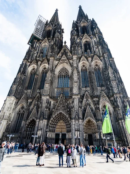 Vue de la cathédrale de Cologne en septembre — Photo