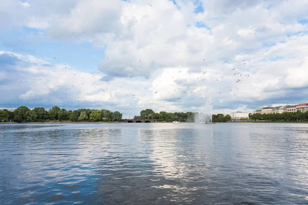 Birds over Binnenalster in Hamburg city in autumn — Stock Photo, Image