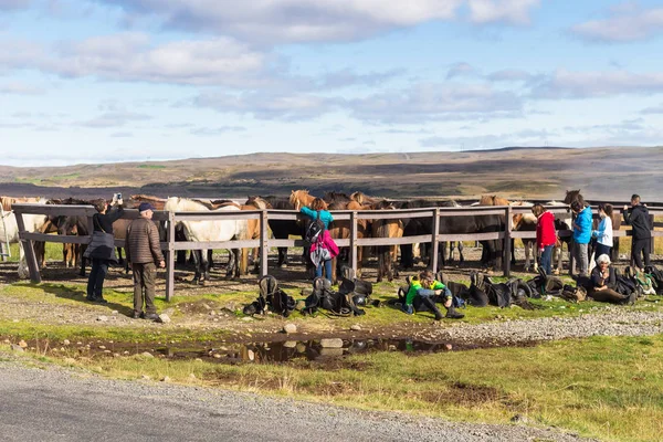 Horse corral in national park Thingvellir — Stock Photo, Image