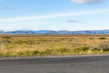 İzlanda'daki Biskupstungnabraut yol boyunca çayır