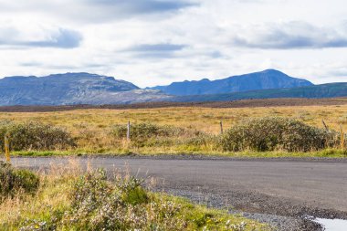 İzlanda'daki Biskupstungnabraut yol boyunca alanları