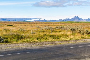 İzlanda'daki Biskupstungnabraut road yakınındaki çayıra