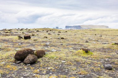 sahil ve Vik köyden Dyrholaey Yarımadası