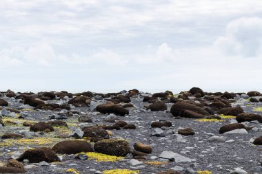 İzlanda'daki Reynisfjara plajda kömür topakları
