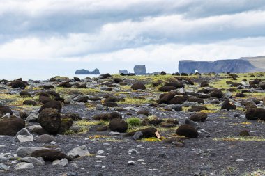 İzlanda'daki Reynisfjara siyah plajda kömür topakları
