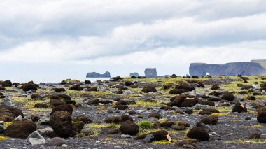 İzlanda'daki Reynisfjara plaj yüzeyi kömür topakları