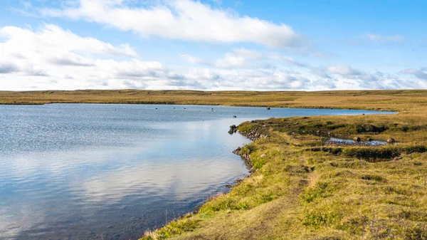 Leirvogsvatn in der Landschaft von Island bei sonnigem Tag — Stockfoto