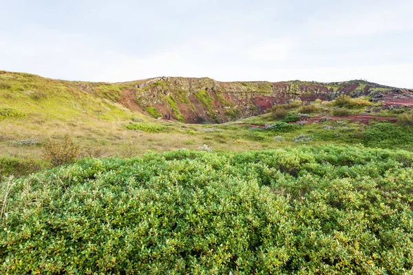 Green vegetation near volocanic crater in Iceland — Stock Photo, Image