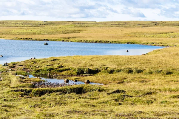 Swamp landscape of Iceland in september sunny day — Stock Photo, Image