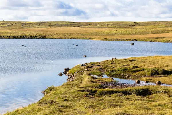 Marsh landscape of Iceland in september sunny day — Stock Photo, Image