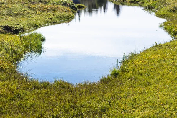 Lagoa perto da margem do rio Oxara em Thingvellir — Fotografia de Stock