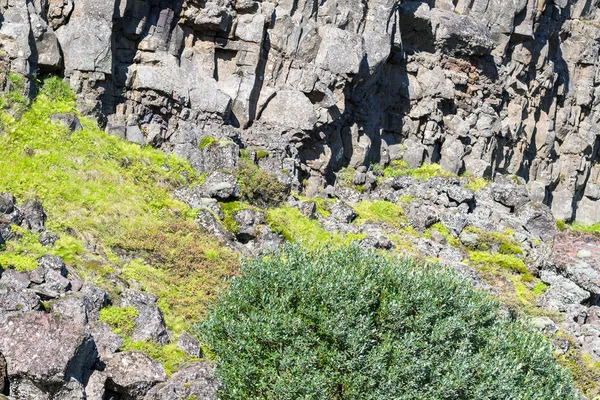 Pendiente de Almannagja Falla en el parque Thingvellir — Foto de Stock