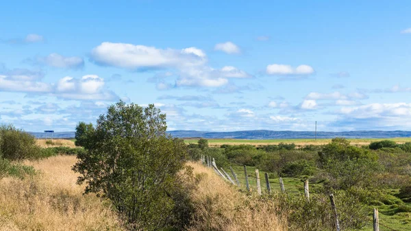 Land landar på Island hösten — Stockfoto