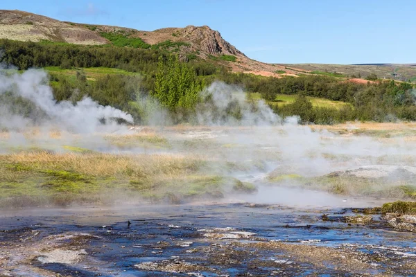 アイスランドの Haukadalur の間欠泉の谷の眺め — ストック写真