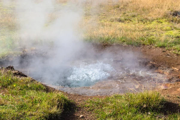 Weinig geiser in de Haukadalur vallei in IJsland — Stockfoto