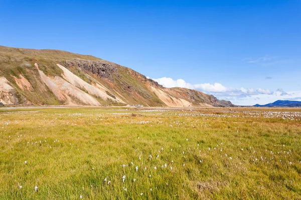 Grüne Wiese in landmannalaugar in Island — Stockfoto