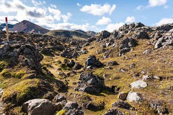 在冰岛 Laugahraun 火山熔岩场的围栏 — 图库照片