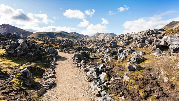 Weg am Lavafeld von Laugahraun in Island — Stockfoto