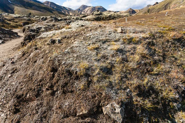 End of Laugahraun volcanic lava field in Iceland — Stock Photo, Image