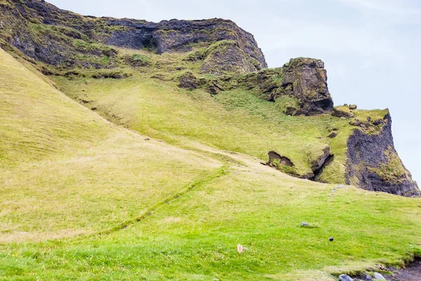 Grüne Klippe des Reynisfjall-Berges bei Reynisfjara — Stockfoto