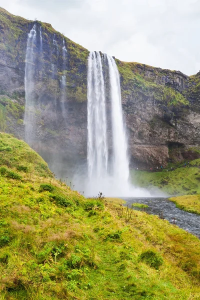 Yeşil nehir ve Seljalandsfoss şelale