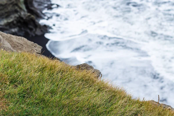 Groen gras op de rand van de klif in IJsland — Stockfoto