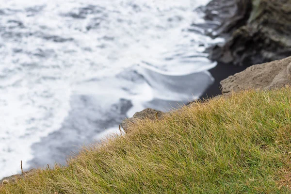 Зеленая трава на скале возле деревни Вик в Исландии — стоковое фото