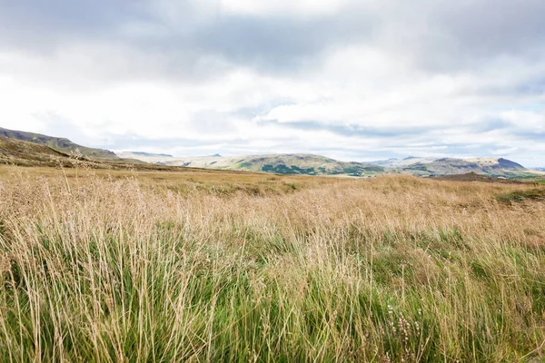 Tierras de pastoreo cerca de la granja Skeggjastadir en Islandia — Foto de Stock