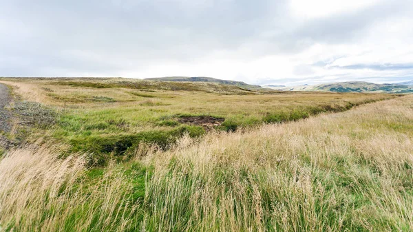 Isländisches Land in der Nähe von skeggjastadir Farm — Stockfoto