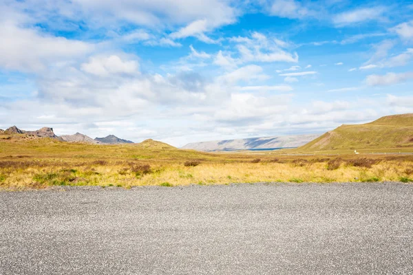 アイスランドの南半島に黄色い草原 — ストック写真