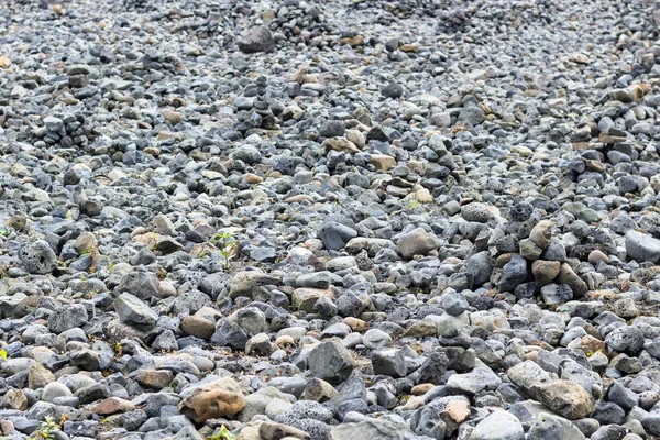 Piedras grises de la costa atlántica en Reikiavik — Foto de Stock