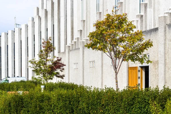 Side entrance to Hallgrimskirkja in Reykjavik — Stock Photo, Image