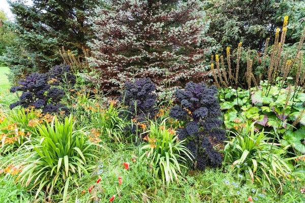 雷克雅未克劳加达卢尔公园郁郁葱葱的植被 — 图库照片