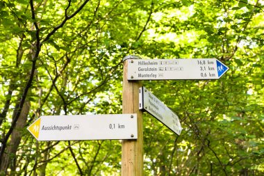 pointers in forest on Gerolsteiner mountain clipart