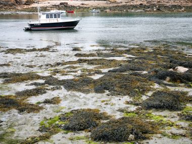 bağlantı noktası-Clos limanda düşük gelgit sırasında su