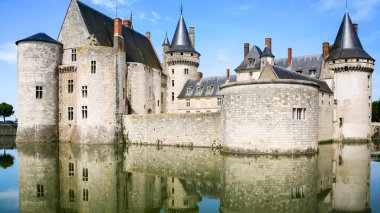 Görünüm Kalesi Chateau de Sully-sur-Loire