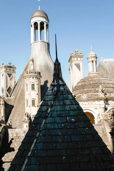 Şatonun çatıları ve kuleleri Chateau de Chambord — Stok fotoğraf