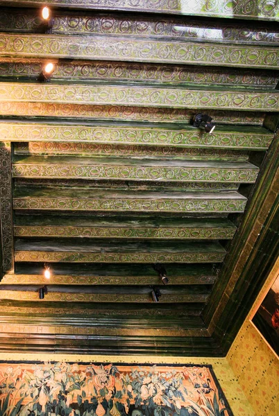 Chenonceau 城堡中的中世纪天花板 — 图库照片