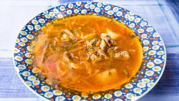 Shchi - russian cabbage soup — Stock Photo, Image