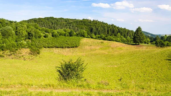 Landskap av naturen och Geopark Vulkaneifel — Stockfoto